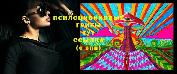 мдпв Вязьма
