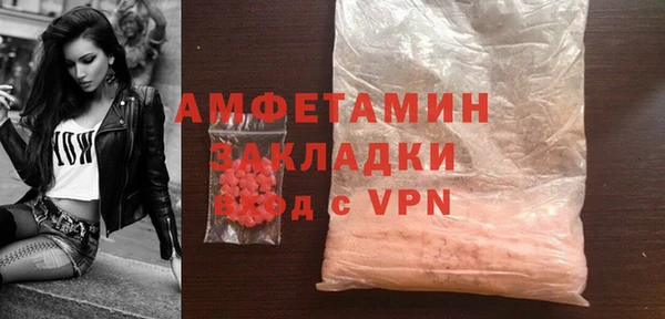 прущая мука Вяземский