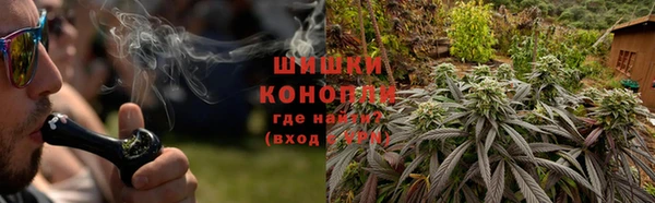мдпв Вязьма