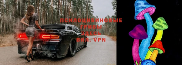 трава Вязники